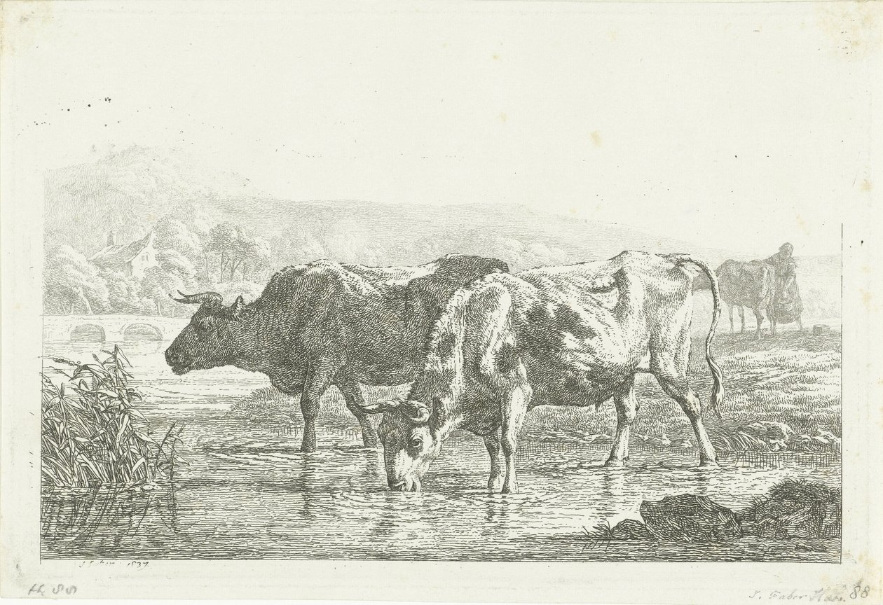 Deux vaches buvant - Frédéric Théodore Faber