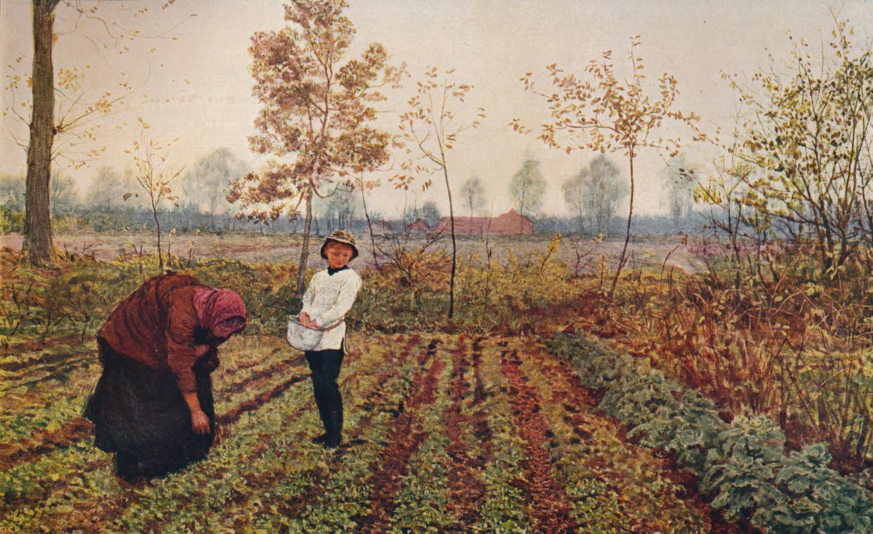 Le champ de violettes, 1867, vers 1915 - Fred Walker