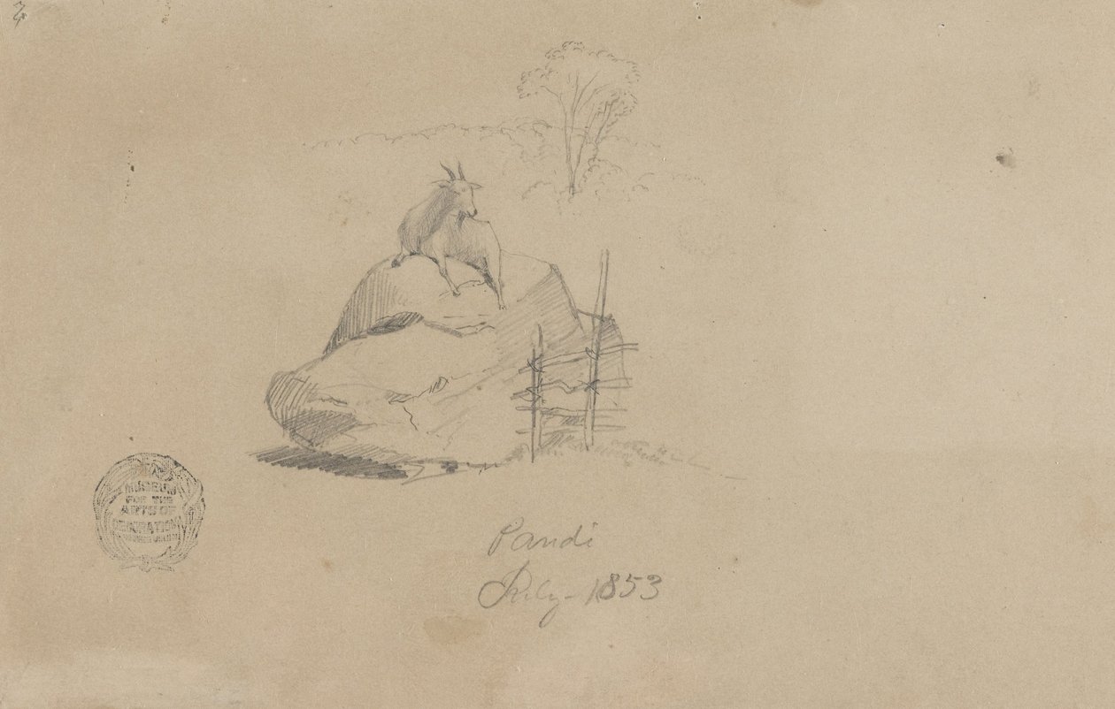 Une chèvre à Pandi, Colombie - Frederic Edwin Church