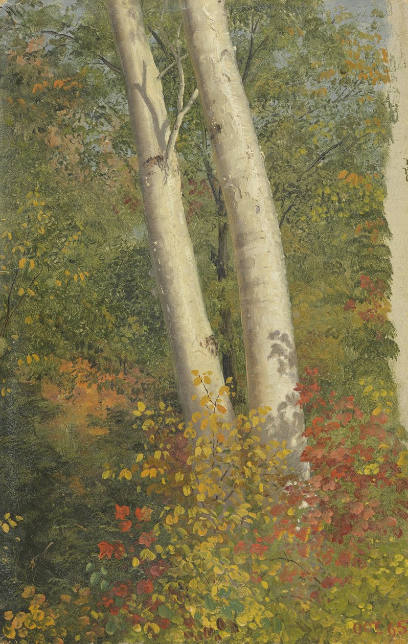 Boules de bouleau en automne - Frederic Edwin Church