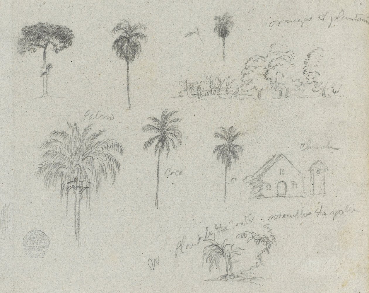 Croquis du Rio Magdalena, Colombie. Croquis botaniques. Une église. Similaire à -103. - Frederic Edwin Church