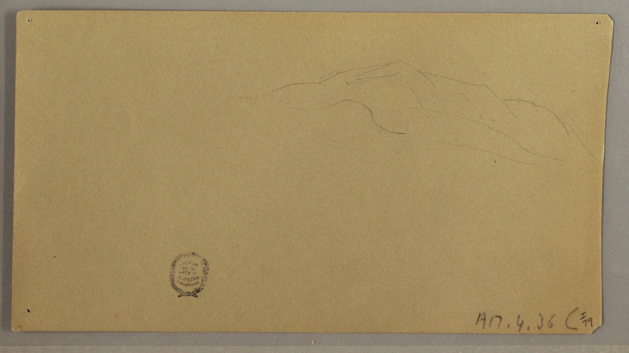 Dessin, plantes à fleurs, vers 1856 - Frederic Edwin Church