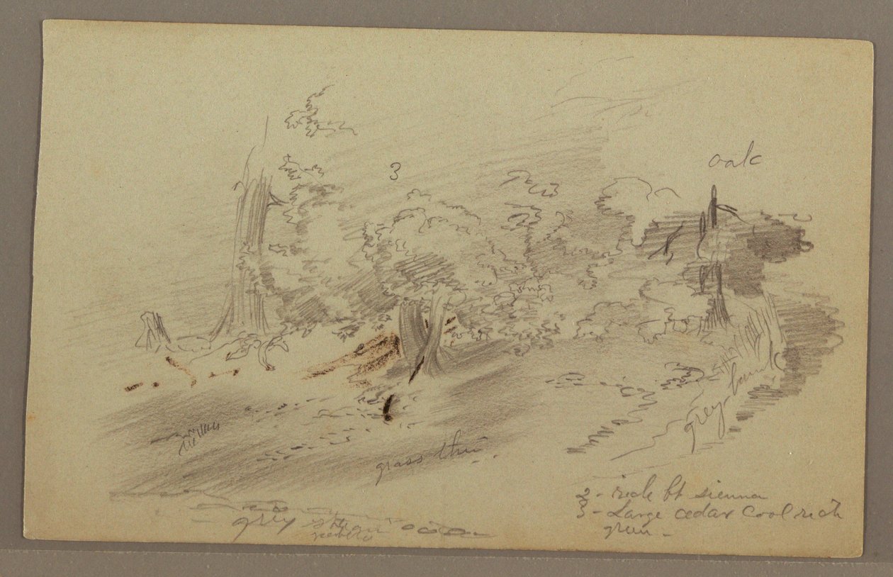 Dessin, arbres, peut-être années 1860 - Frederic Edwin Church