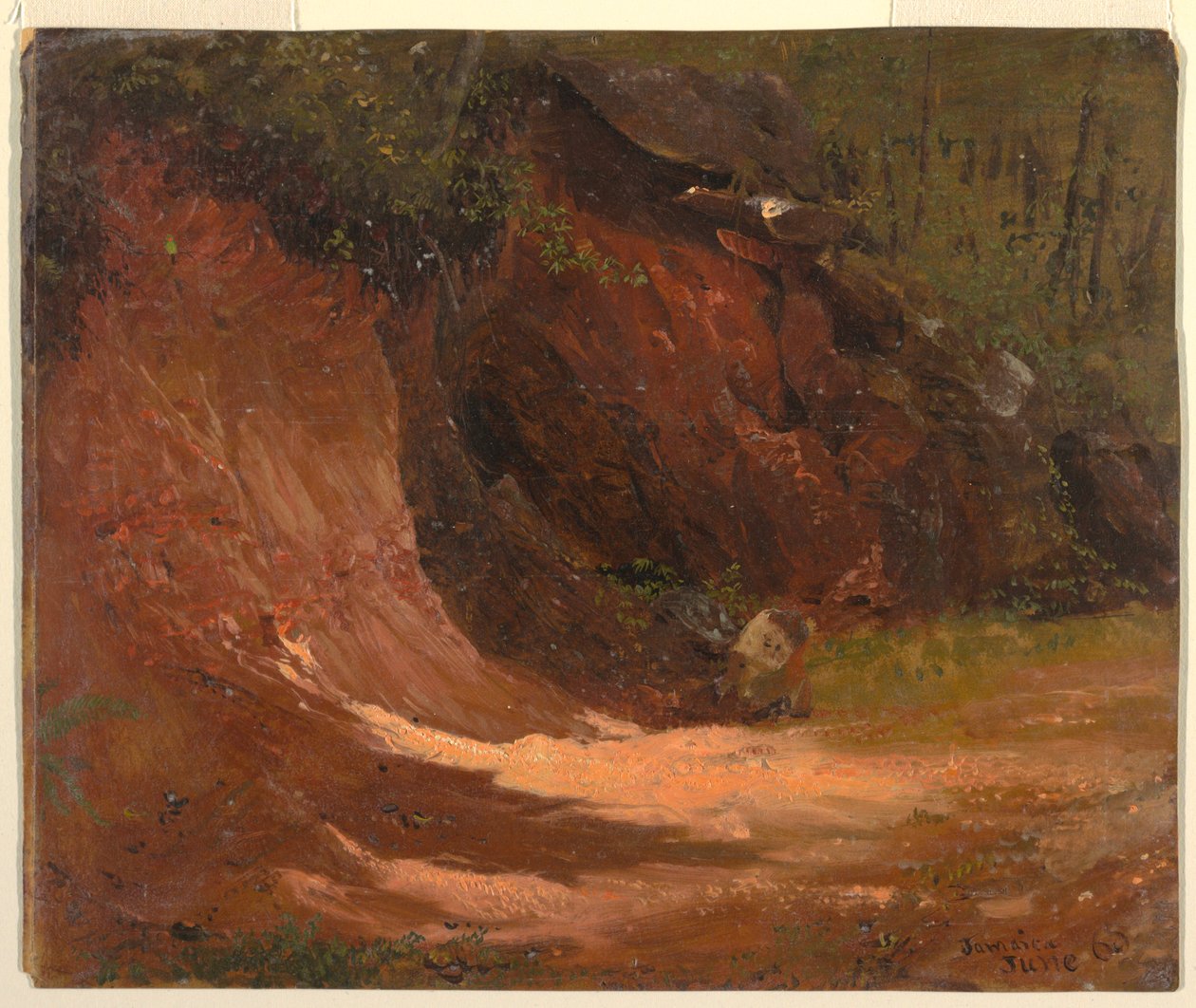 Dessin, Woodland bank, Jamaïque, juin 1865 - Frederic Edwin Church