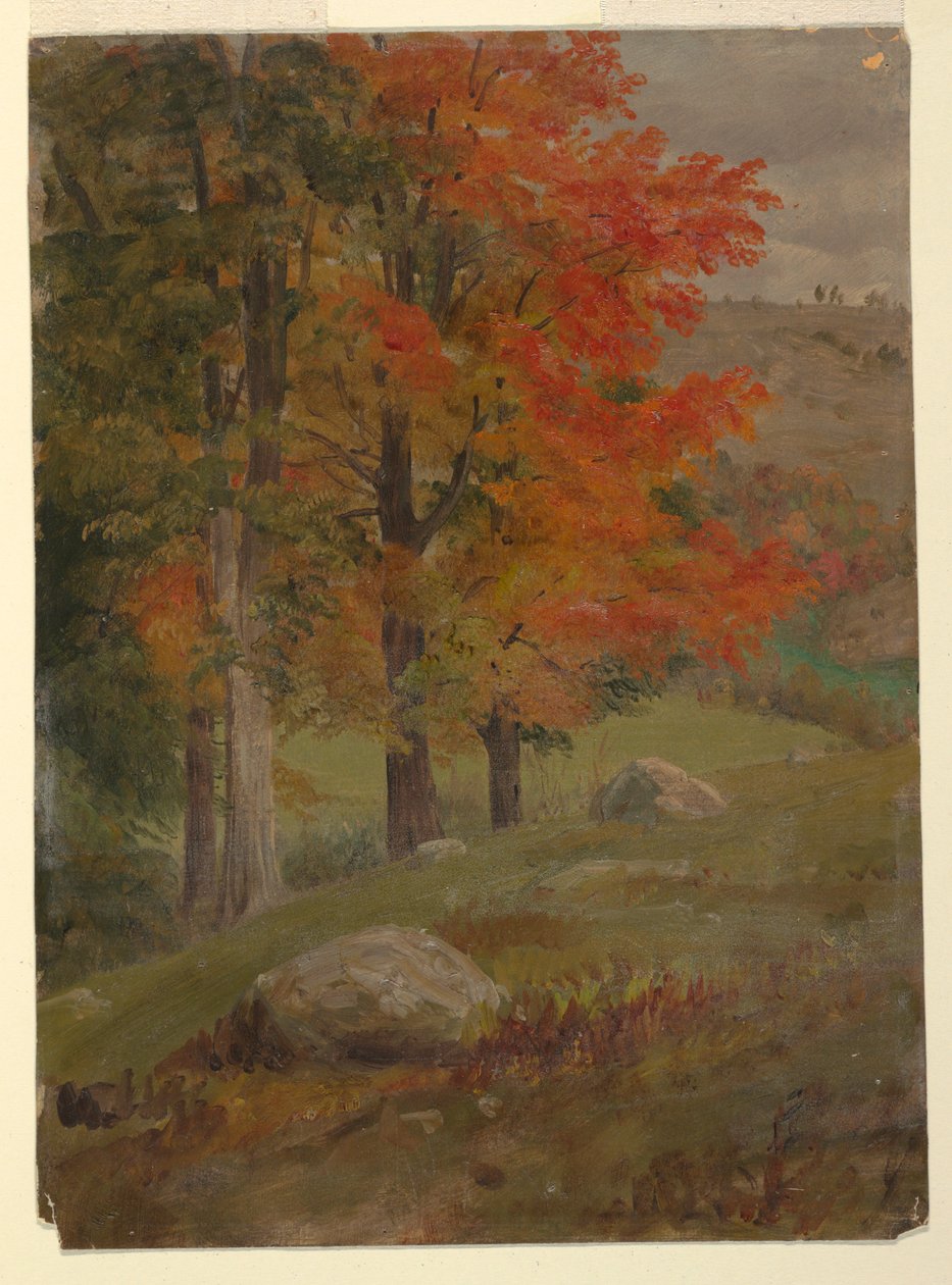 Dessin, Bois en automne, 1865 - Frederic Edwin Church