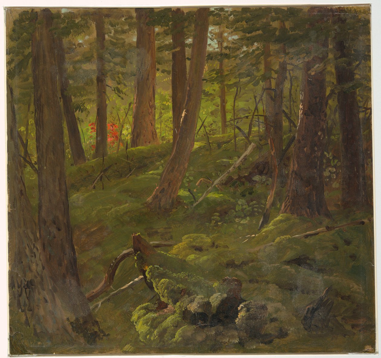 Forêt en Jamaïque - Frederic Edwin Church