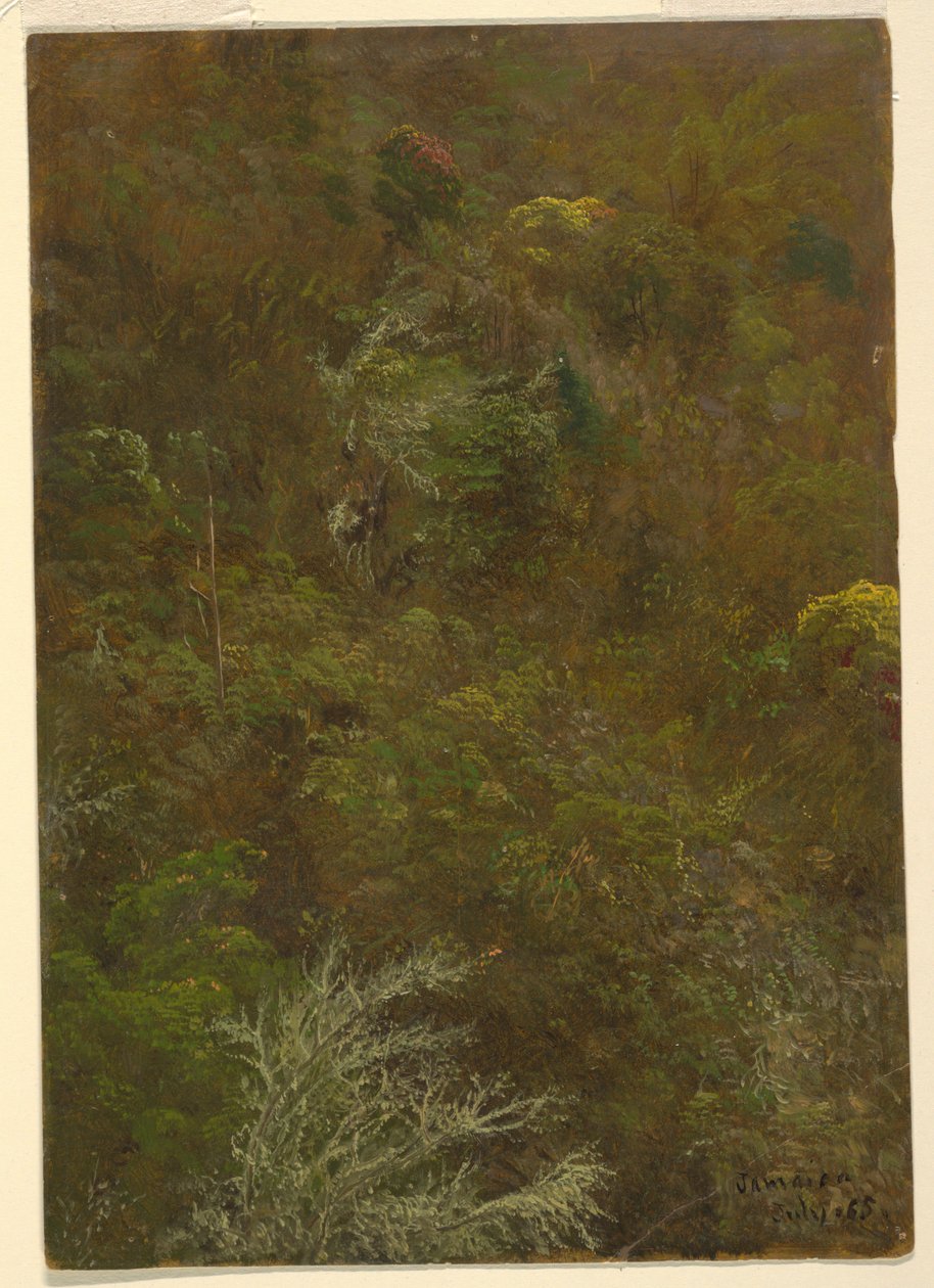 Colline avec arbres, Jamaïque - Frederic Edwin Church