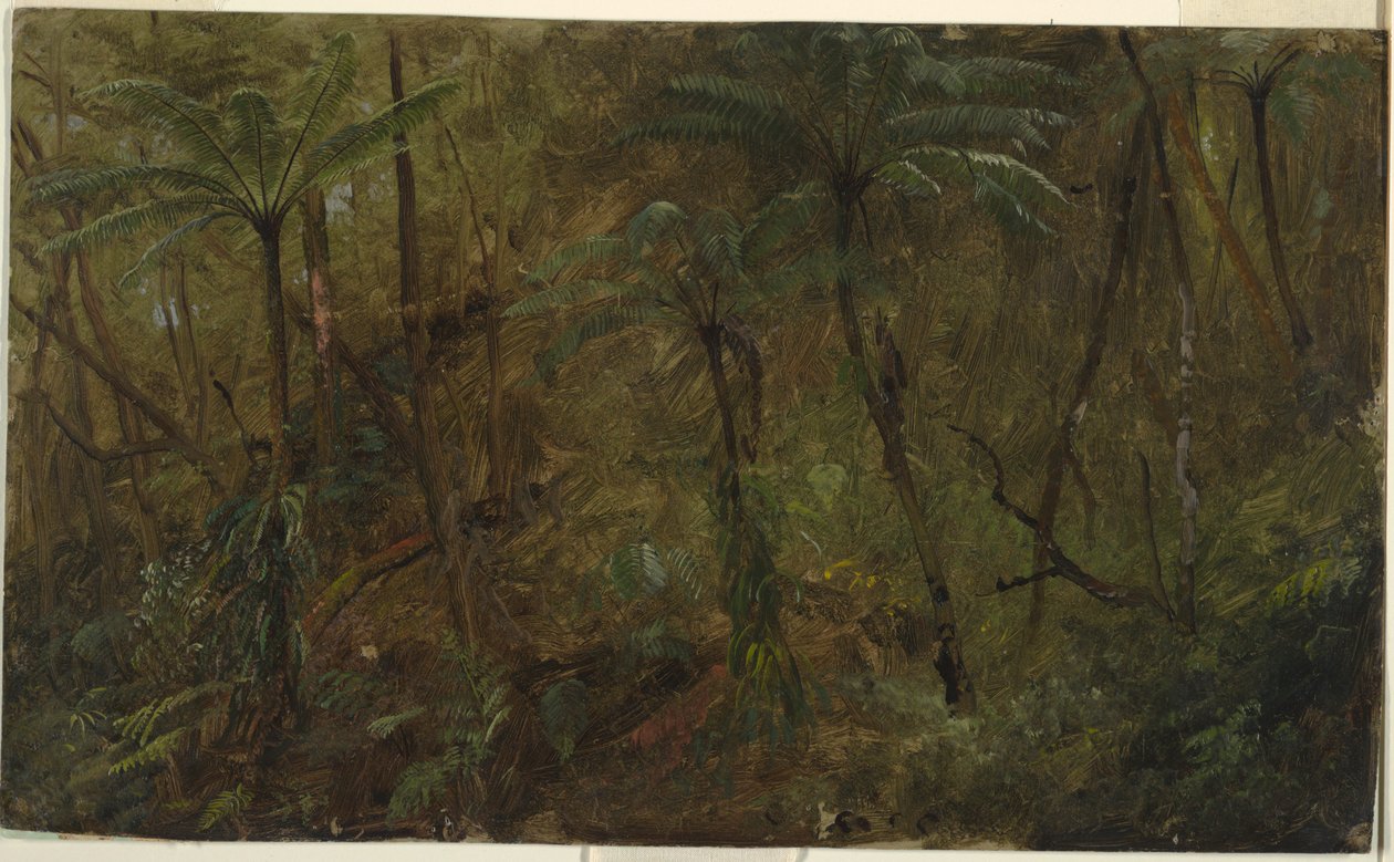 Dans les bois, Jamaïque - Frederic Edwin Church