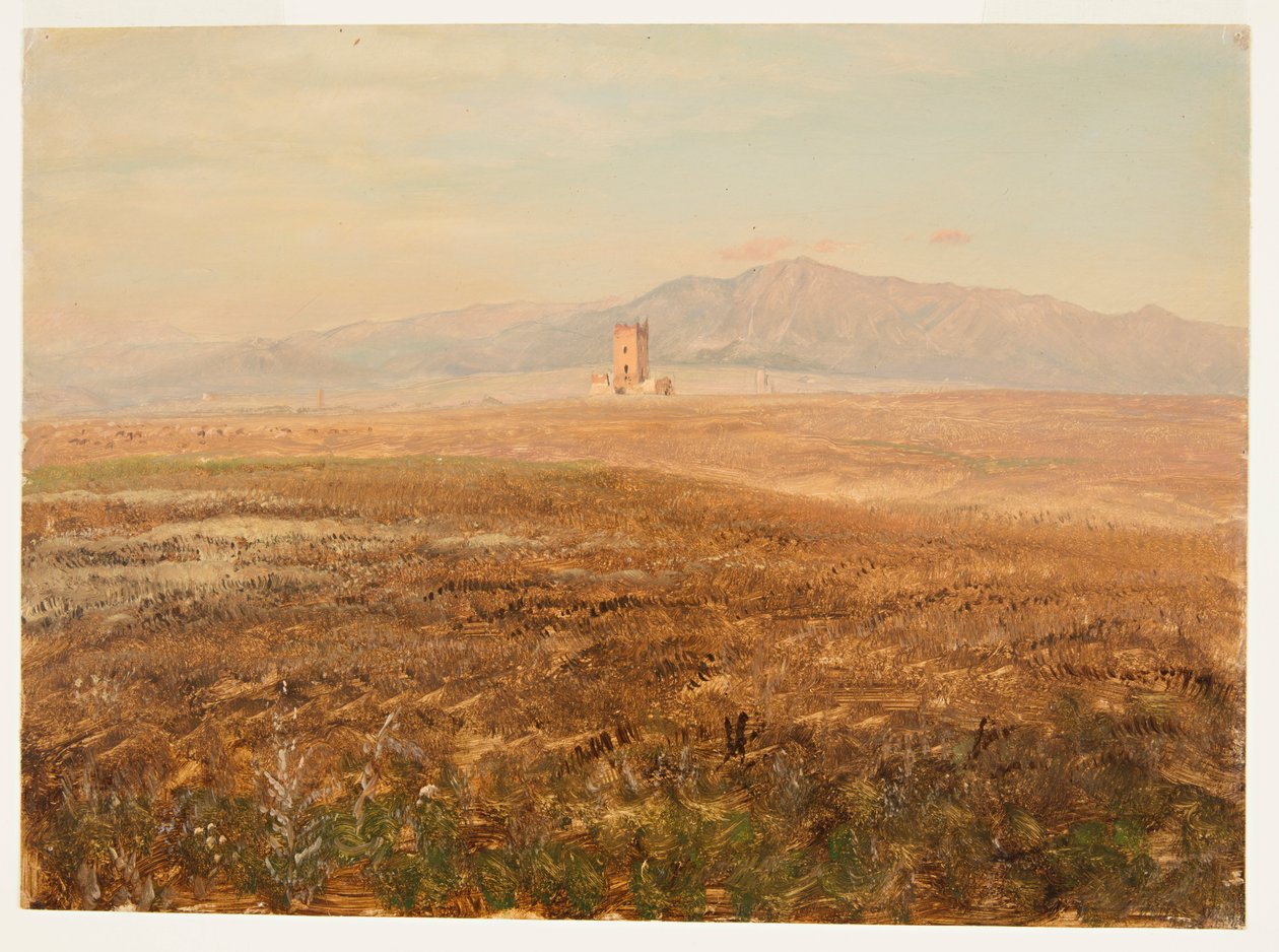 Paysage mexicain - Frederic Edwin Church