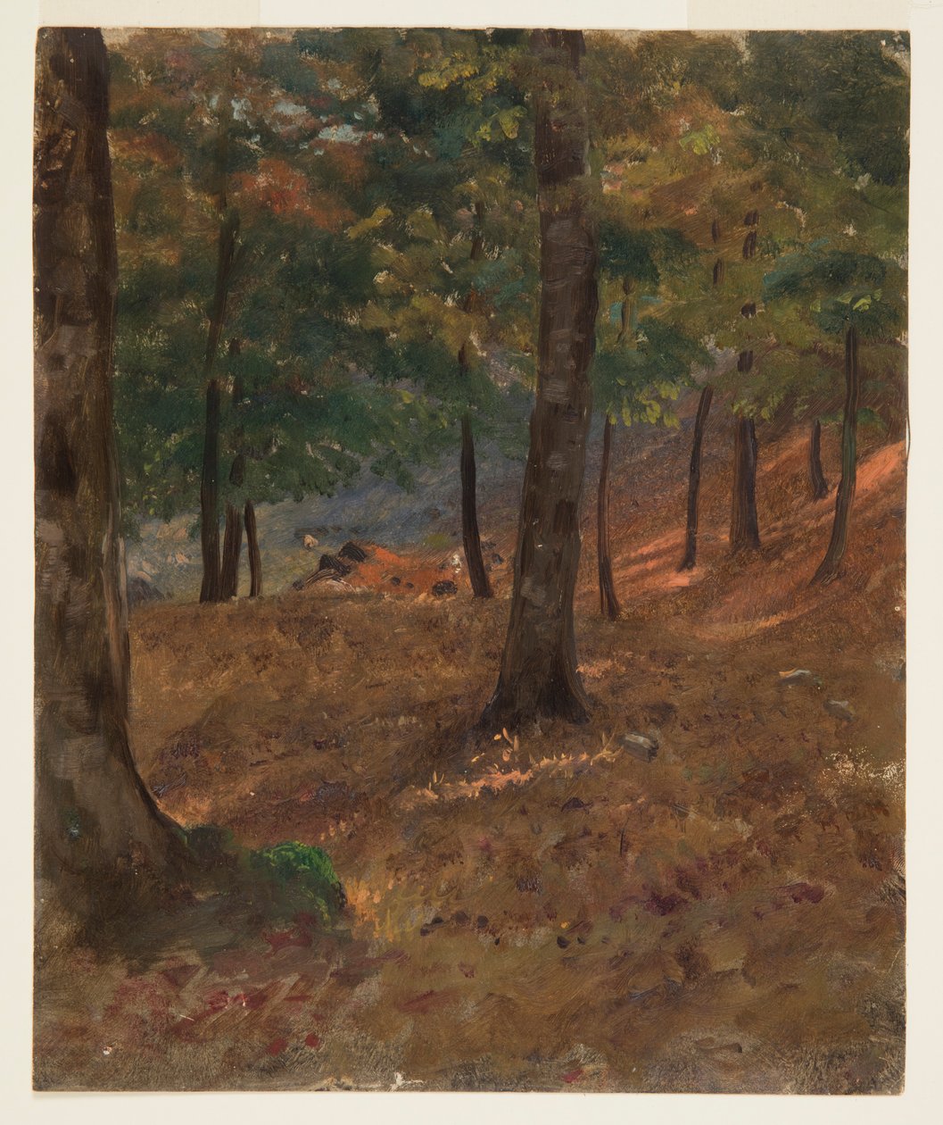 Scène boisée - Frederic Edwin Church