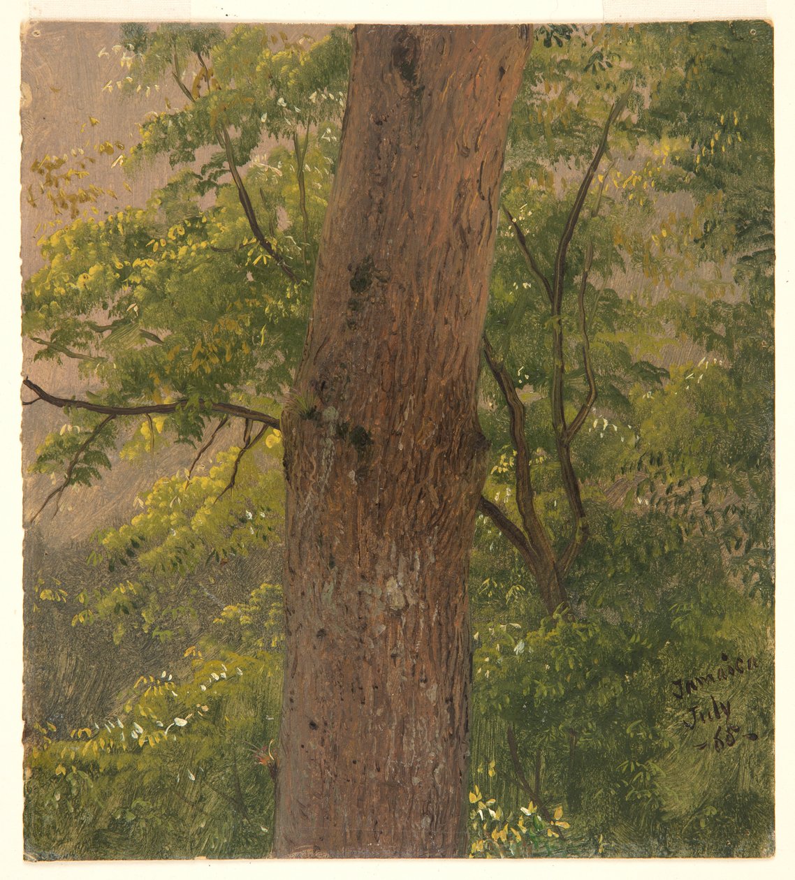 Étude de forêt, Jamaïque - Frederic Edwin Church