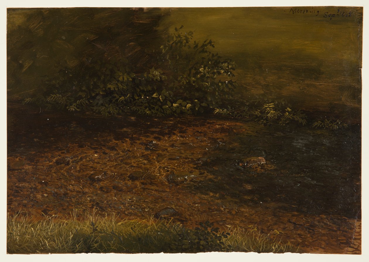 Ruisseau forestier dans les Catskills - Frederic Edwin Church