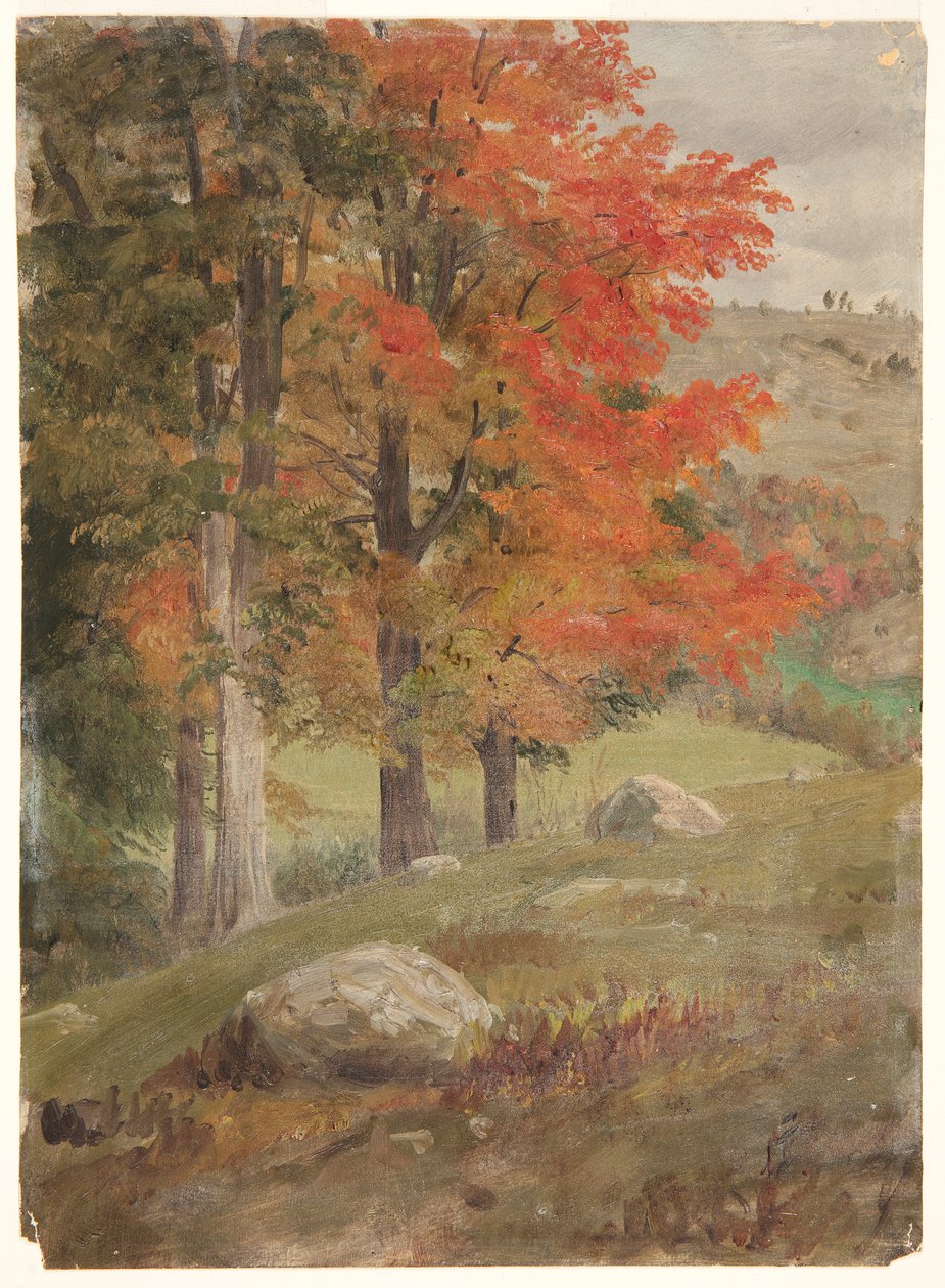 Bois en Automne - Frederic Edwin Church