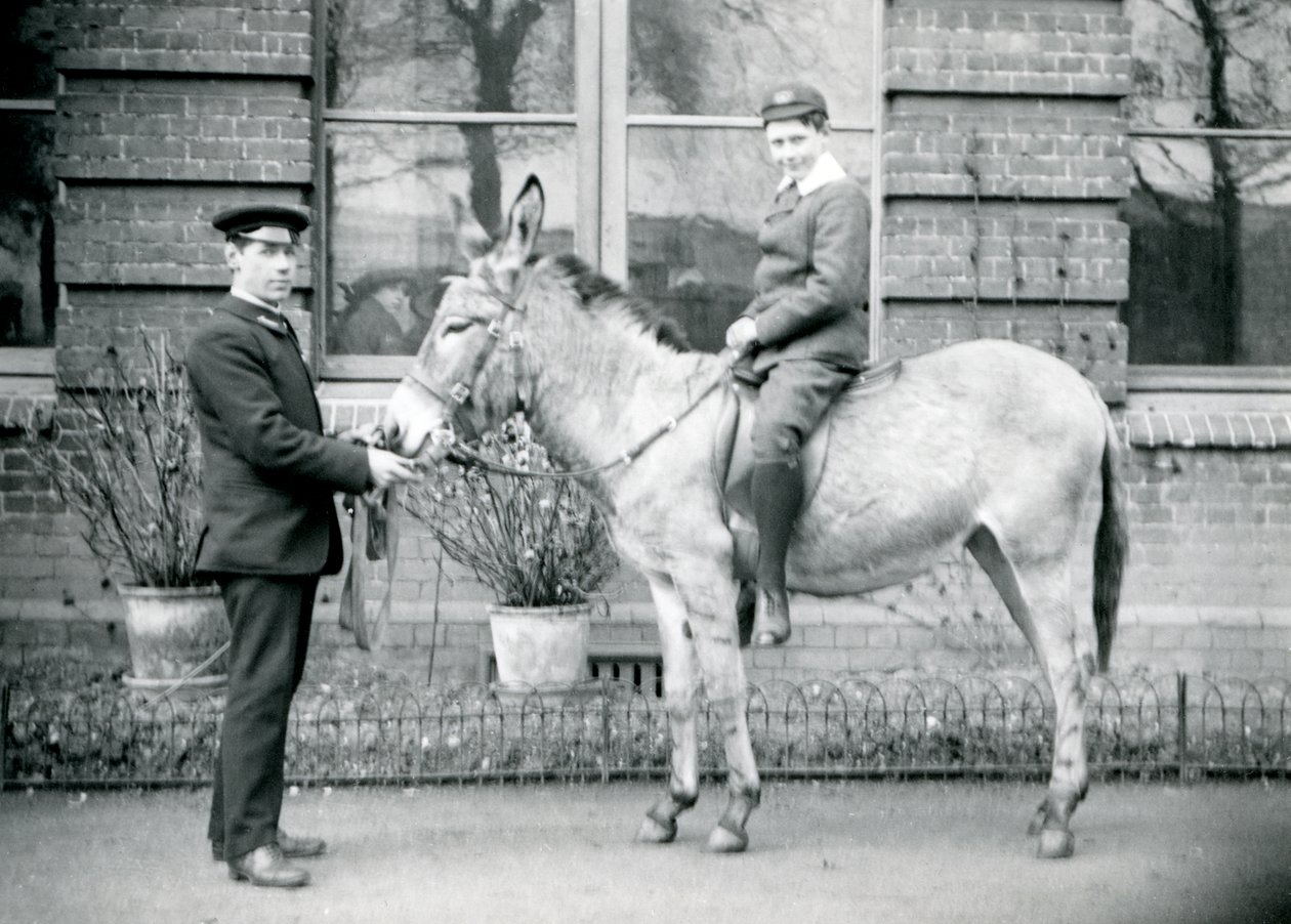 Un gardien conduit un âne monté par un garçon, Zoo de Londres, juin 1913 - Frederick William Bond