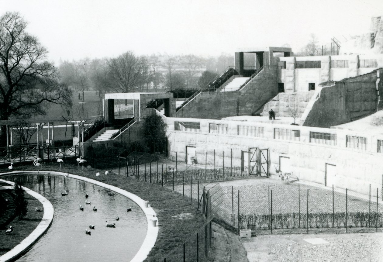 Enclos devant les terrasses Mappin, zoo de Londres, 1922 - Frederick William Bond