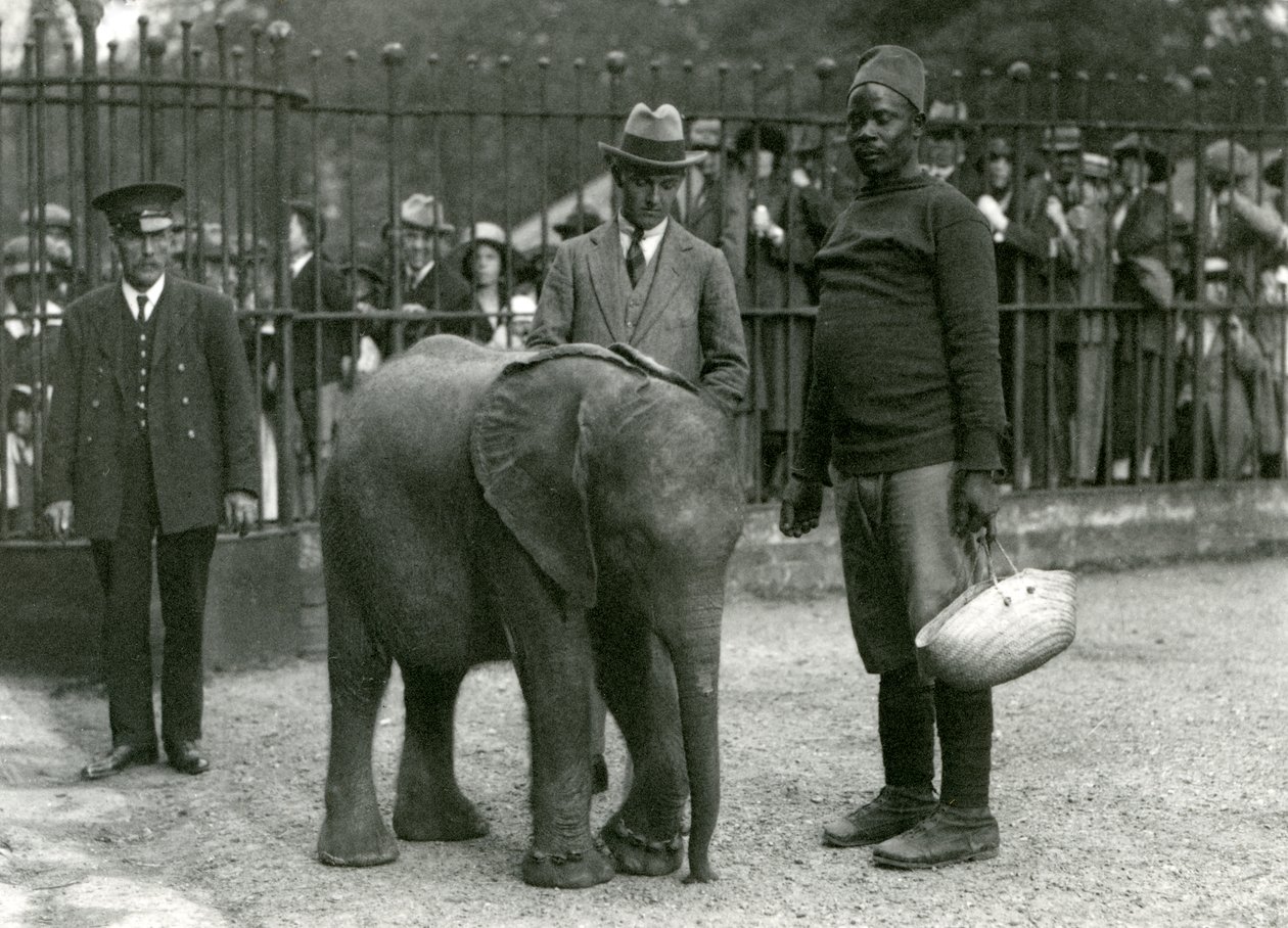 Jeune éléphant africain Kiberenge avec son dresseur Darisha, un gardien et un autre homme, avec des foules de visiteurs regardant de l