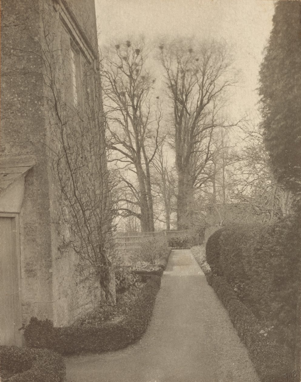 Manoir de Kelmscott : Dans le jardin - Frederick H. Evans