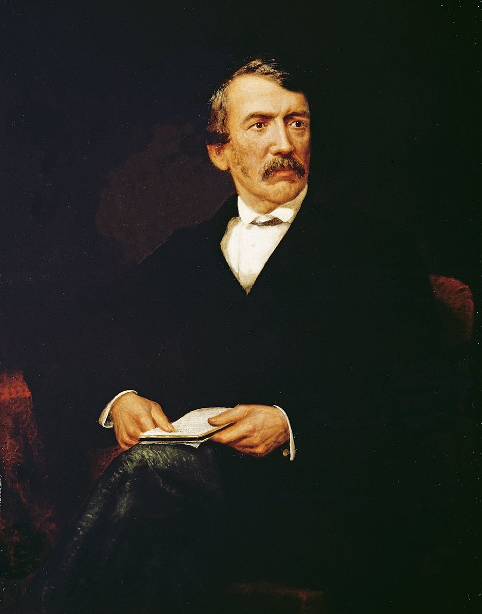 Portrait de Livingstone (1813-1873) - Frederick Havill
