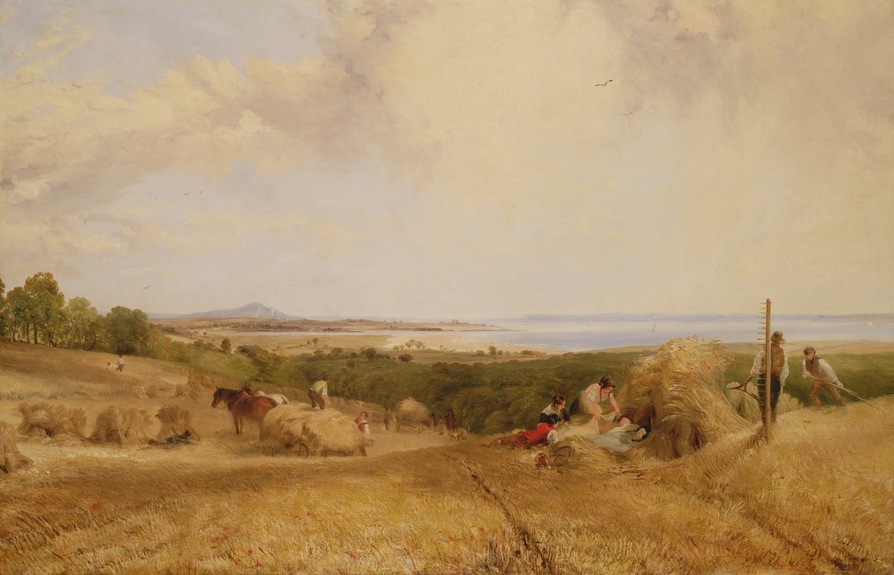 Le champ de moisson, 1846 - Frederick Richard Lee