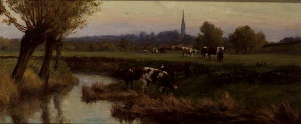 Vaches broutant près d