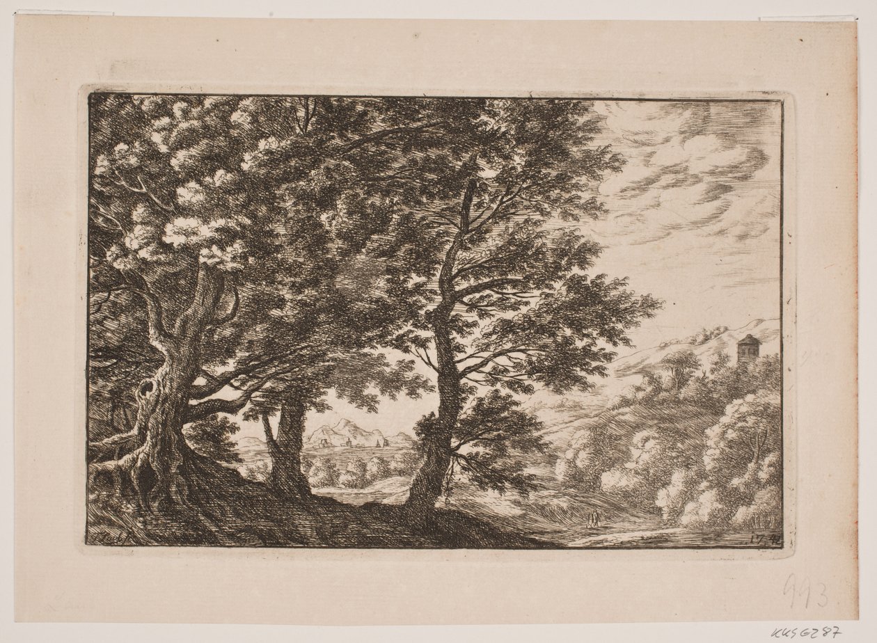 Paysage montagneux avec grands arbres - Frederik Laub