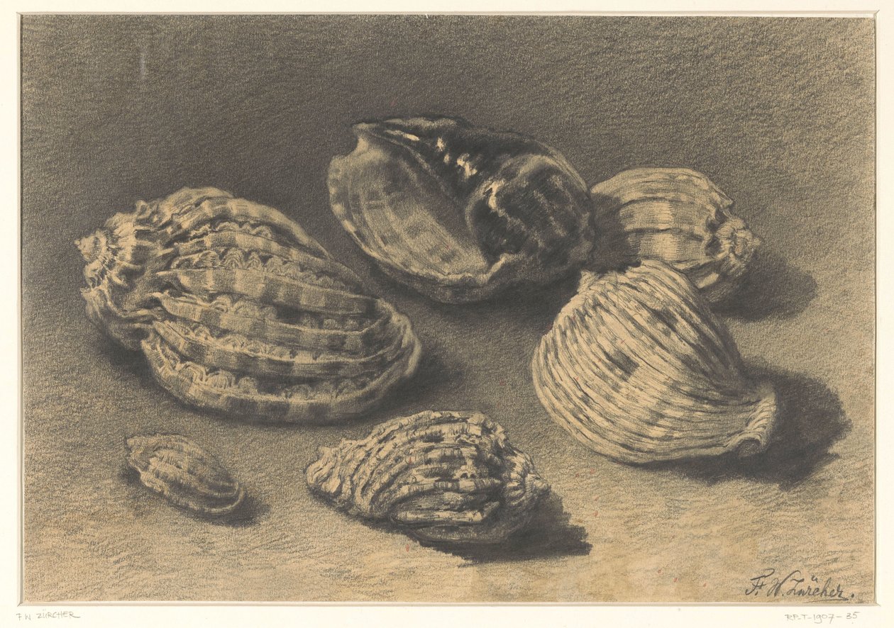 Six coquillages - Frederik Willem Zürcher