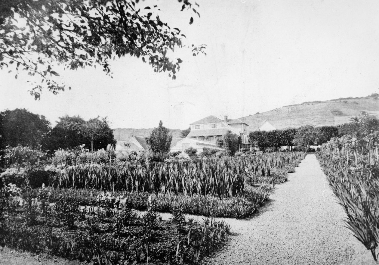 Le jardin de Monet, Giverny, vers 1908 - French Photographer