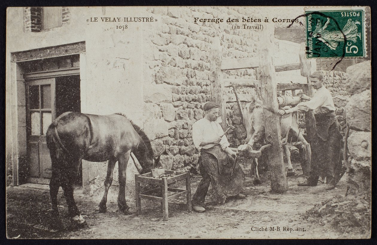 Carte postale représentant le ferrage d