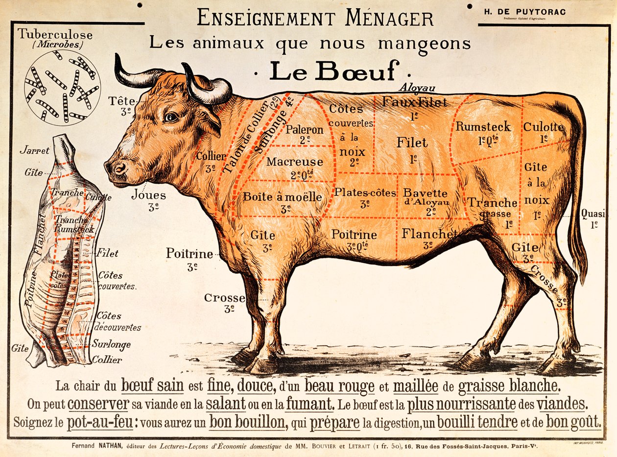 Bœuf : diagramme représentant les différentes coupes de viande - French School