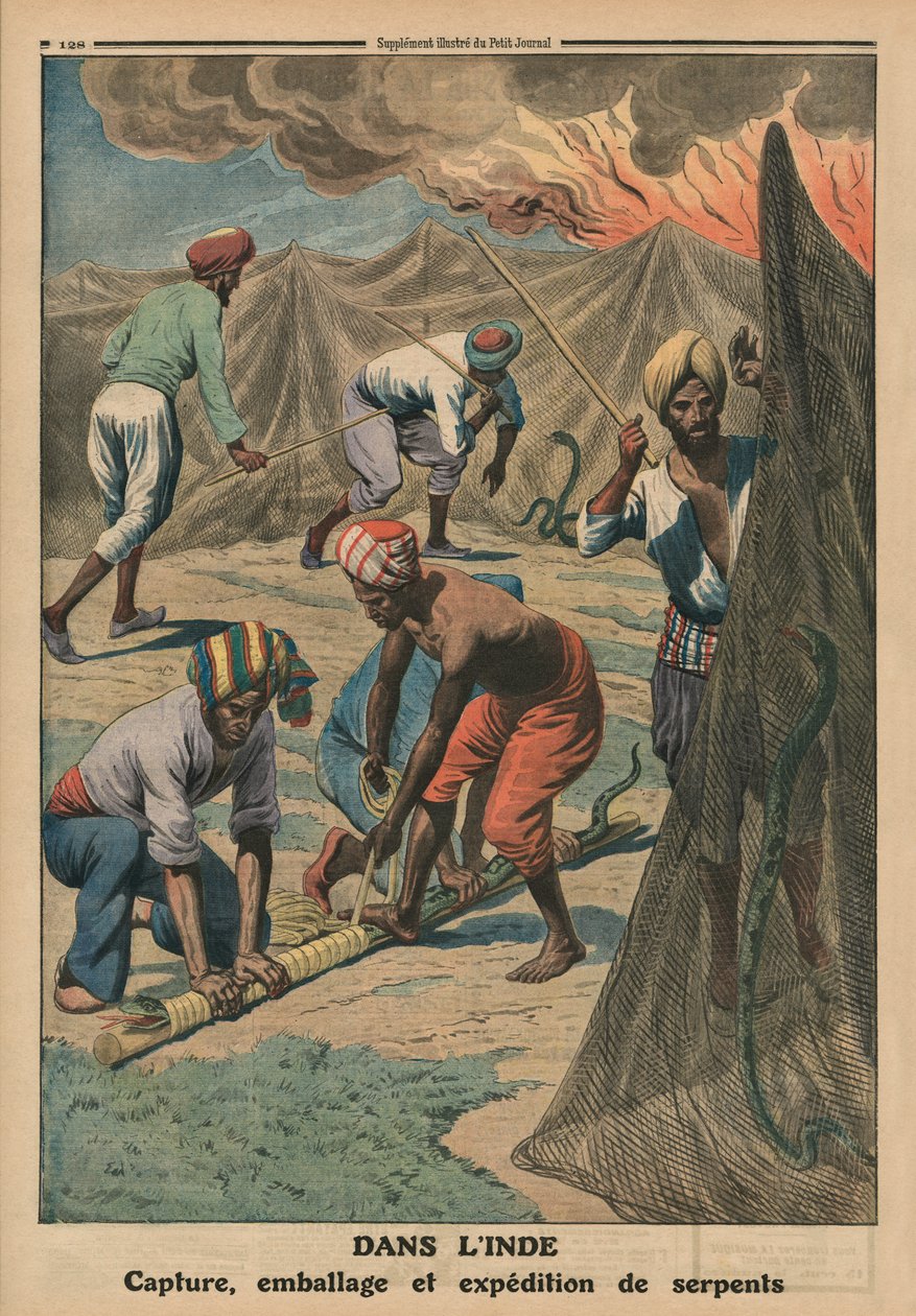 Capture, emballage et envoi de serpents, Inde, illustration de couverture de 