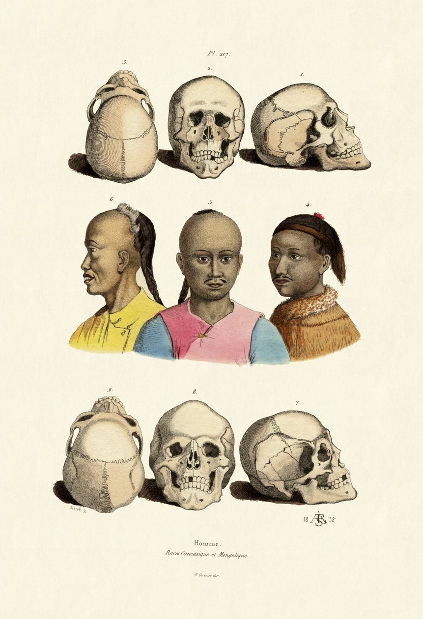 Caucasiens - French School