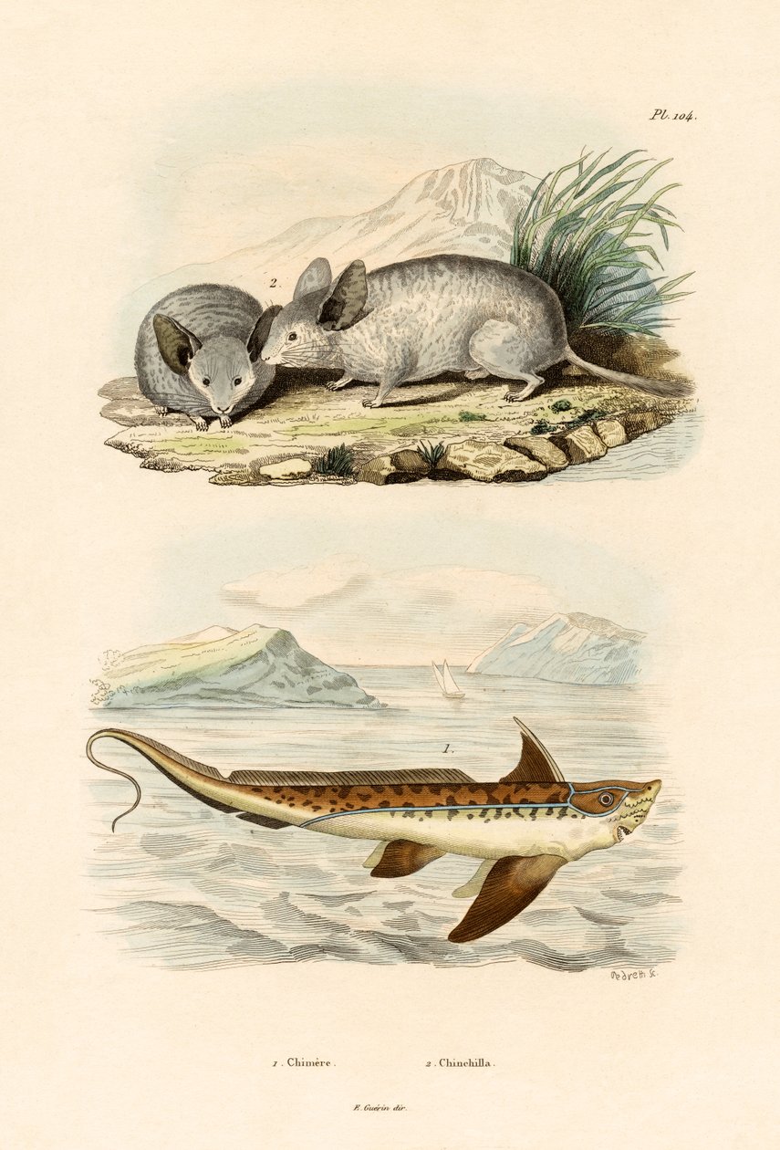 Chimère, 1833-39 - French School