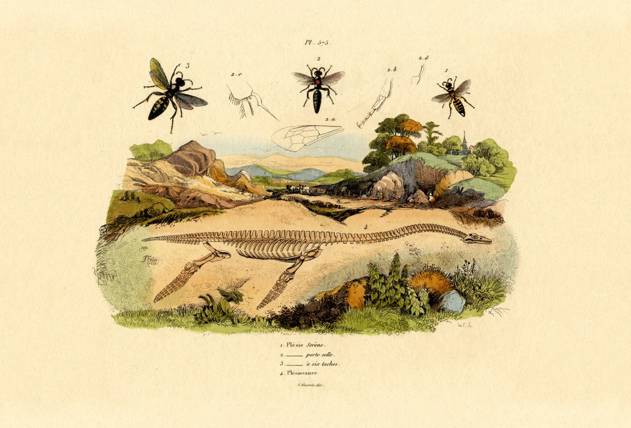 Frelon, 1833-39 - French School