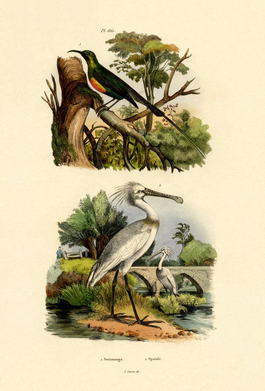 Souimanga, 1833-39 - French School