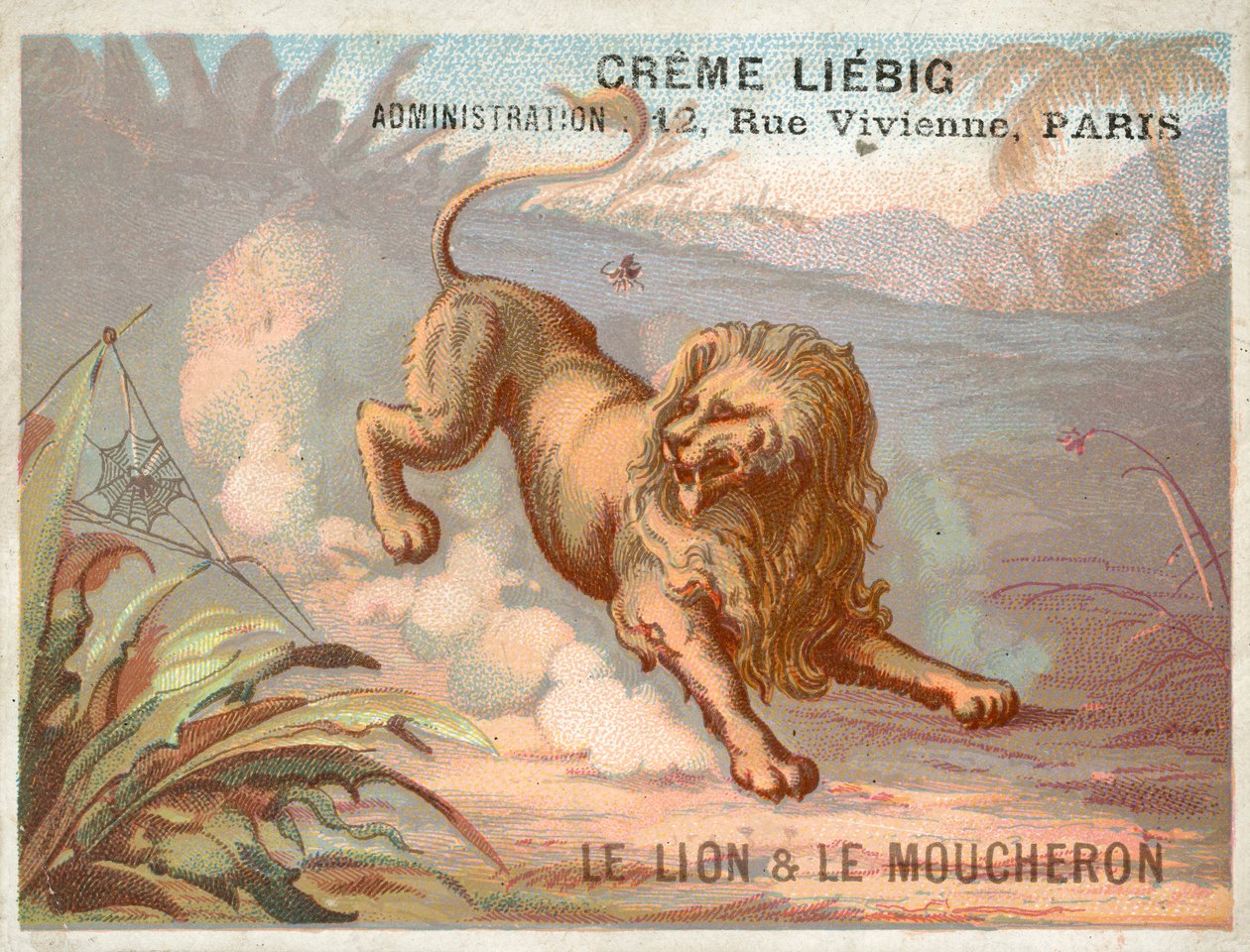 Le Lion et le Moustique - French School