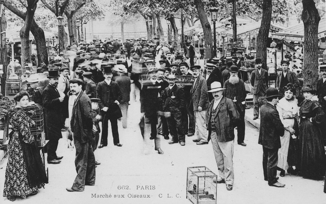 Marché aux oiseaux, Paris - French Photographer