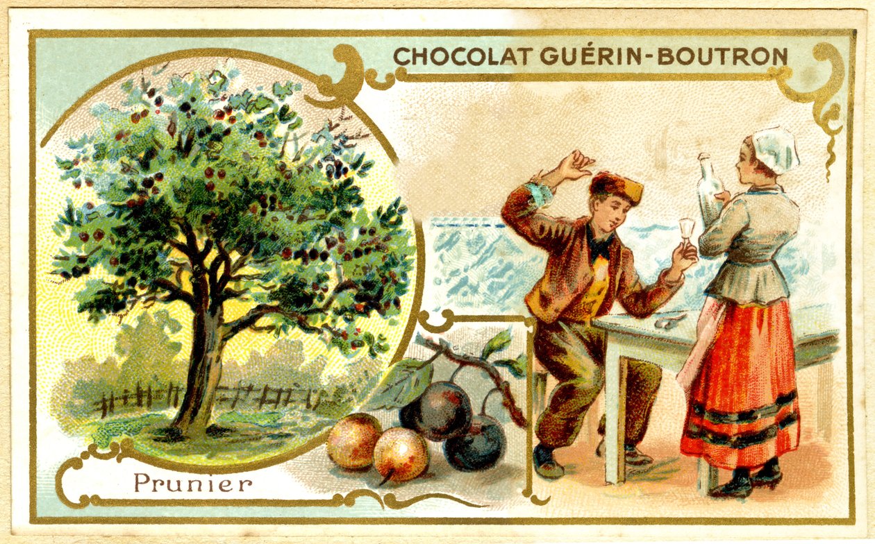 Chromolithographie publicitaire des chocolats Guérin Boutron - French School