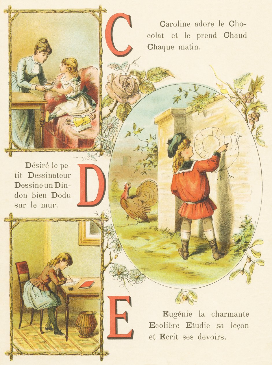 C D E: Chocolat, Dessinateur, Dinde - French School