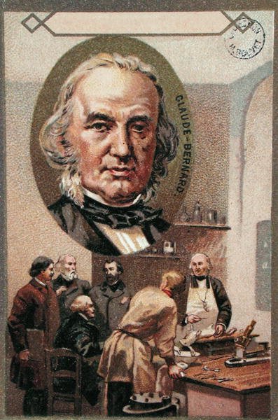 Claude Bernard (1813-78) - French School