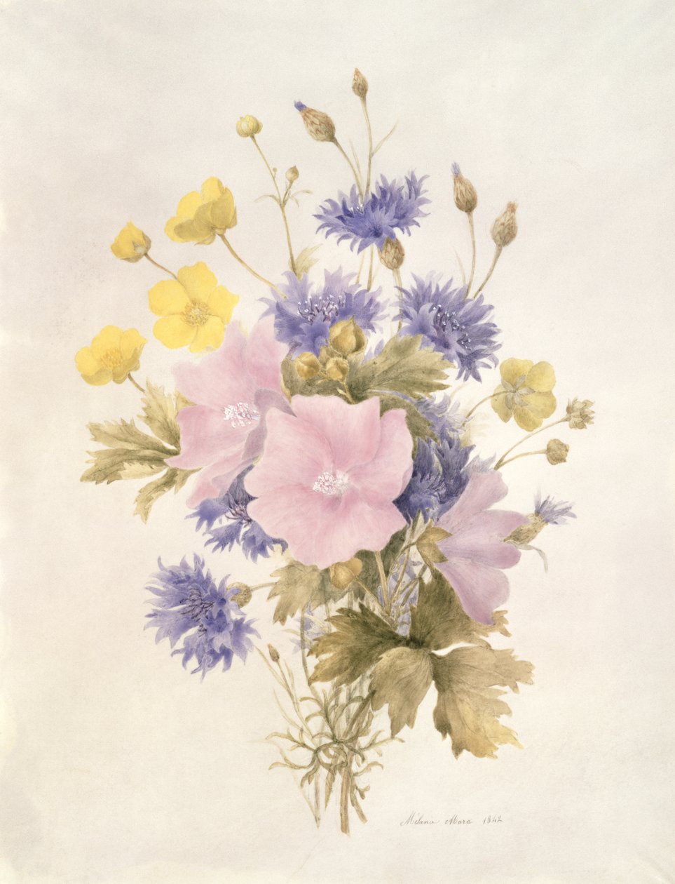 Fleurs des champs, 1842 - French School