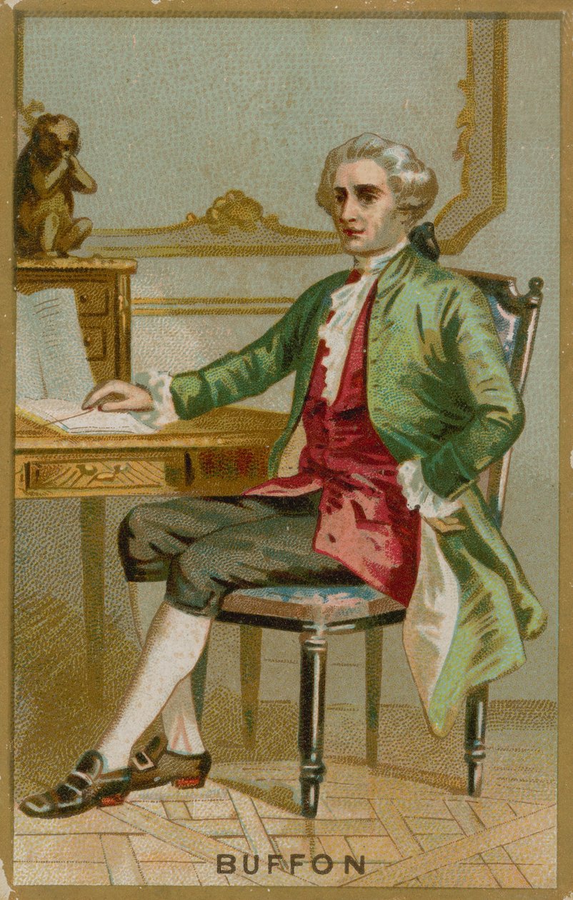 Georges-Louis Leclerc, Comte de Buffon - French School