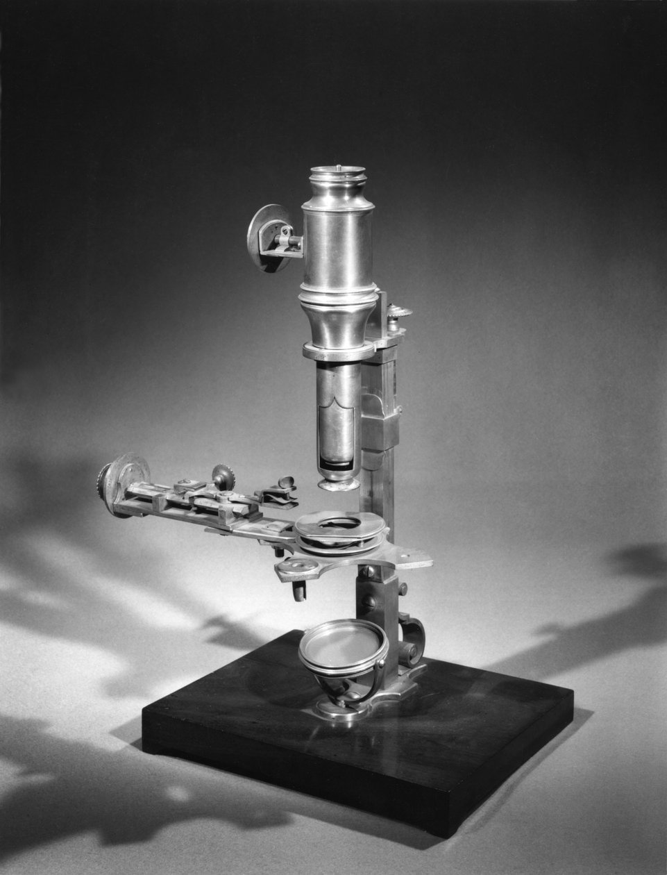 Microscope - French School