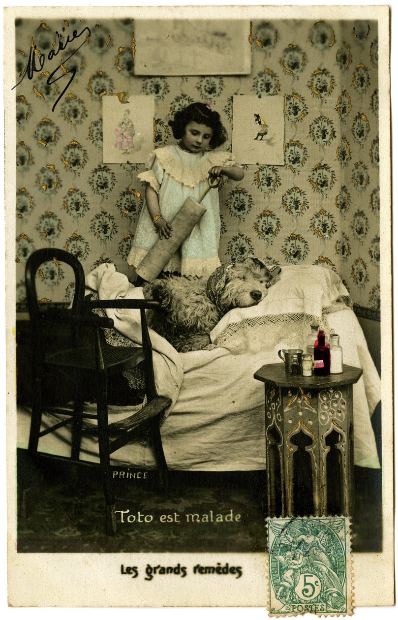 Carte postale : Toto est malade, grands remèdes, Prince - French School