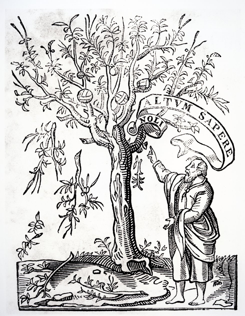 Emblème d