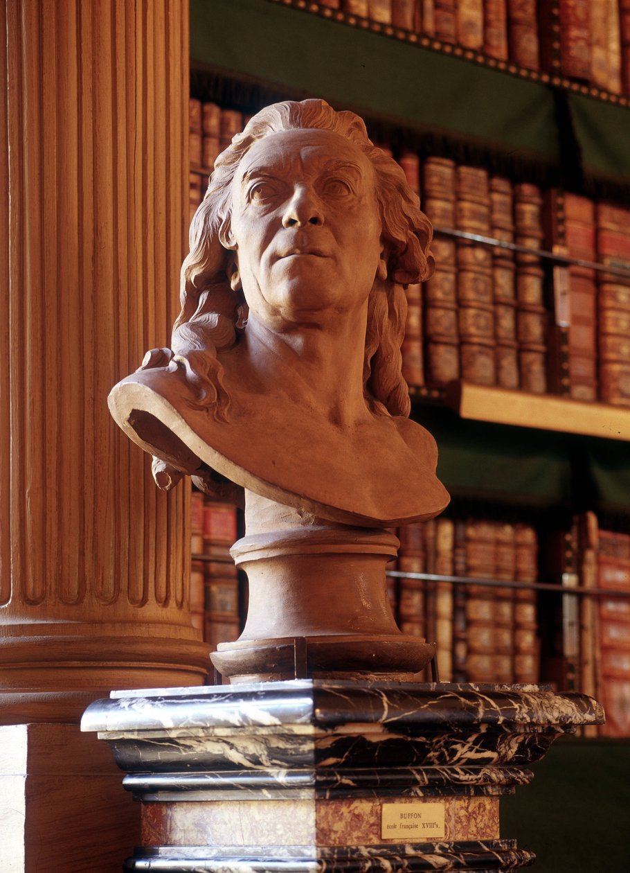 Statue de Buffon, Bibliothèque Mazarine - French School