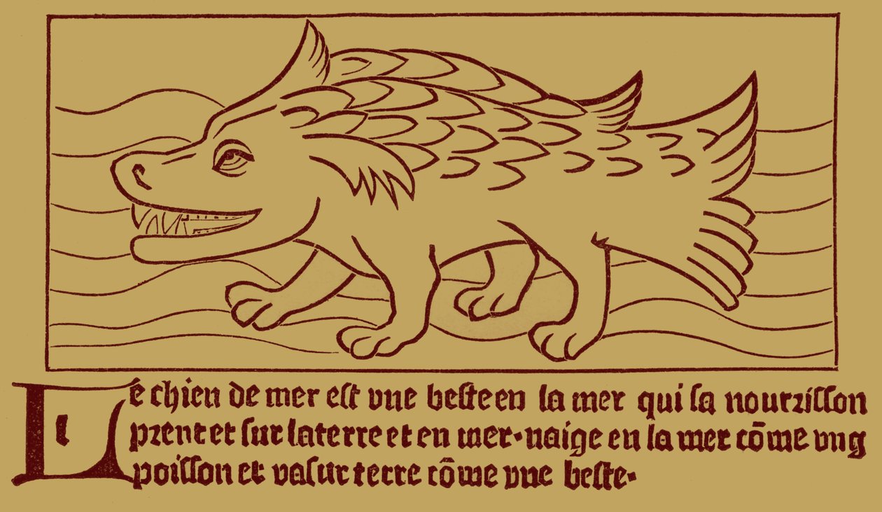 Le Chien de Mer - French School