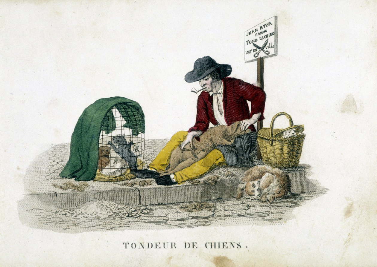 Le tondeur de chiens - French School