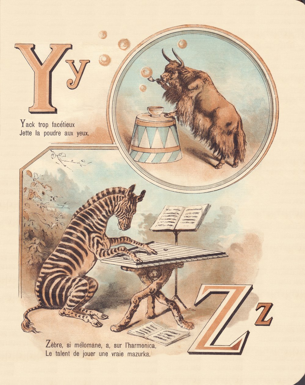 Y Z: Yak, Zèbre - French School