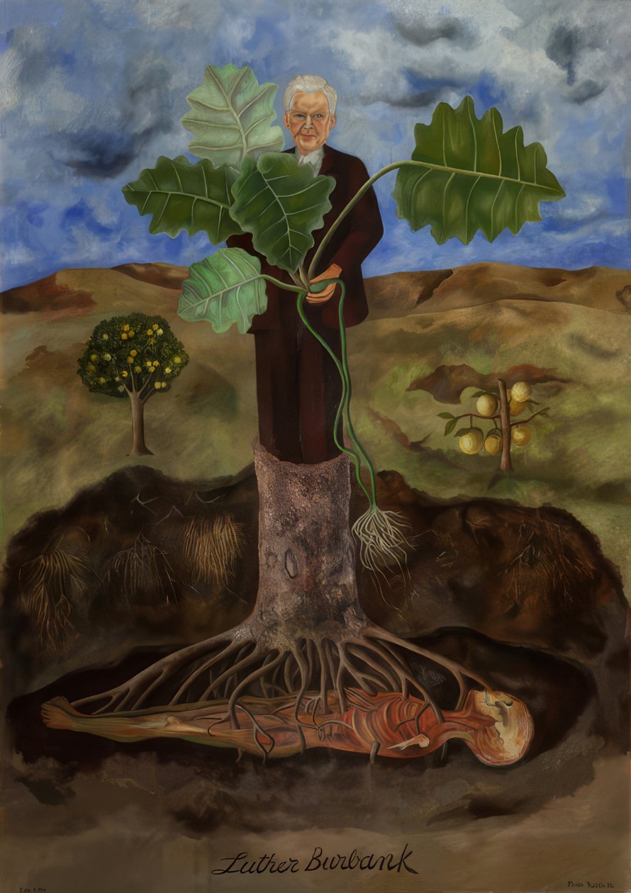 Le rapport de Luther Burbank - Frida Kahlo
