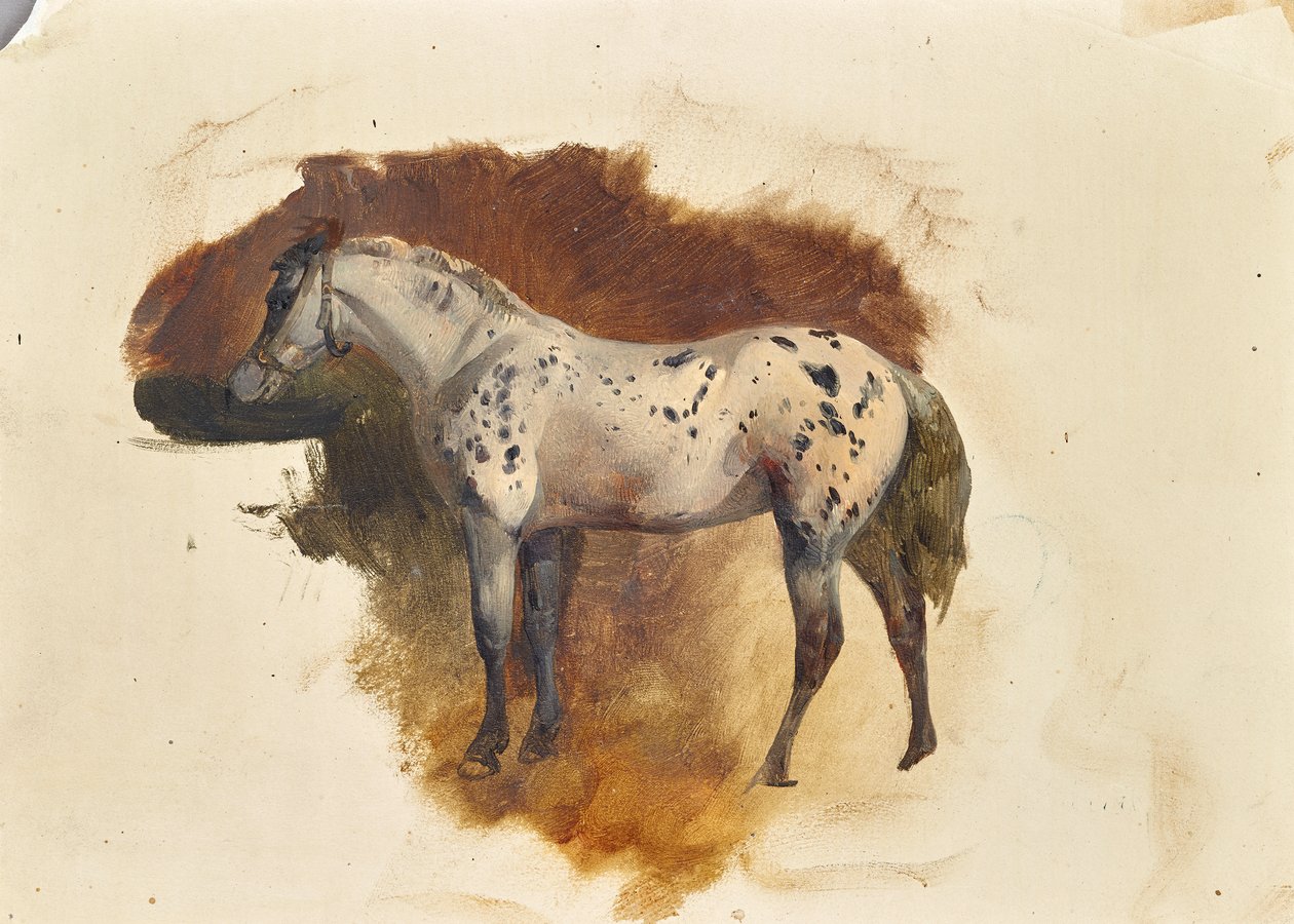 Cheval tacheté - Friedrich August Mathias Gauermann